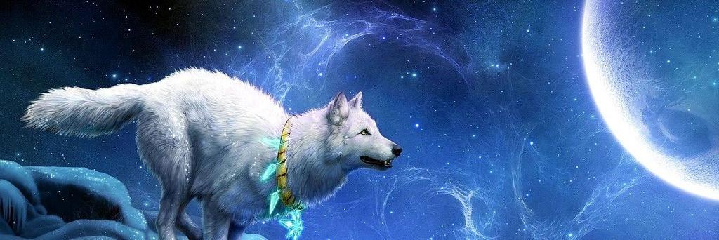 BooksWolfMusic's profile banner image