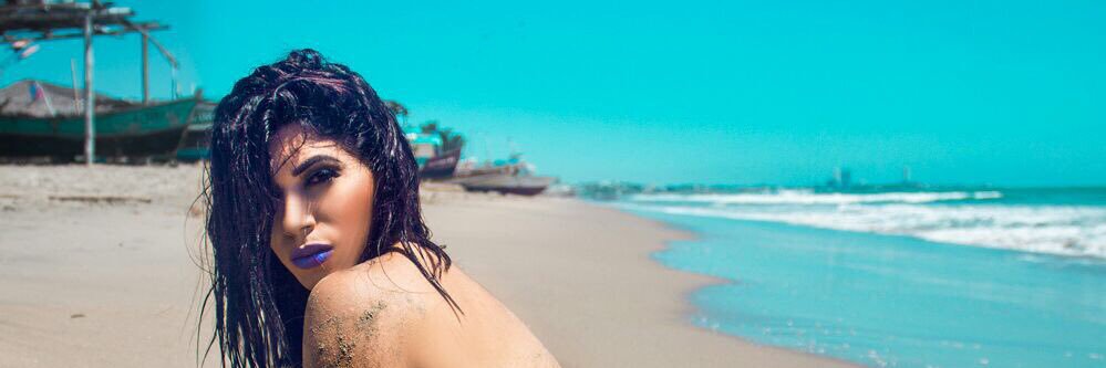 DOMENIC banner