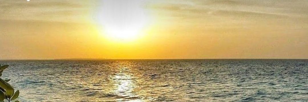 aydnscl's profile banner image
