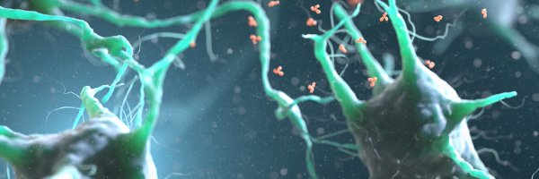 SiccodeVries Profile Banner