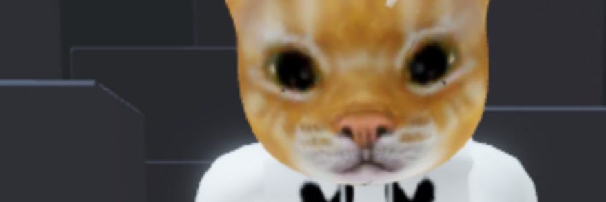 HaveAHupeDay's profile banner image