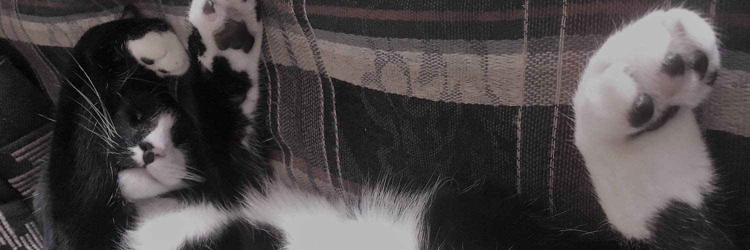 HeidiTheFischer's profile banner image