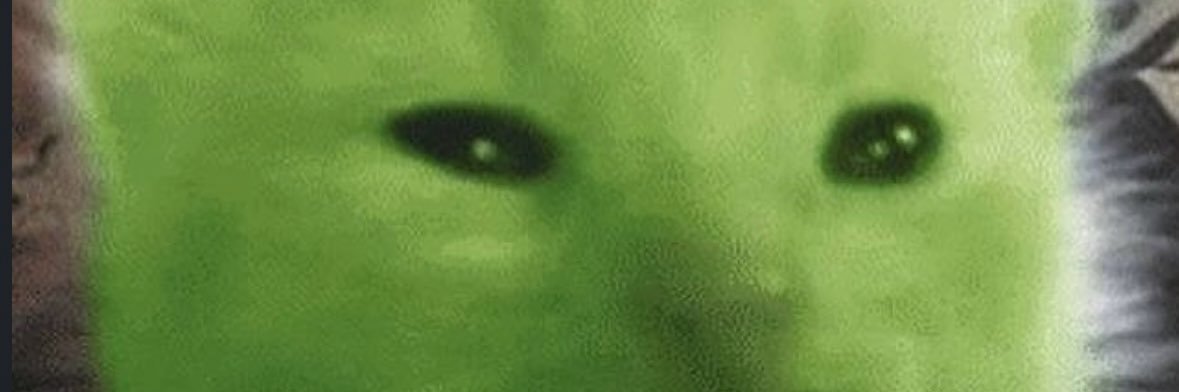 rarr129's profile banner image