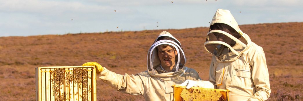 Rowse Honey banner