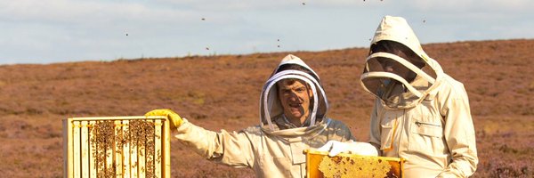 rowsehoney Profile Banner