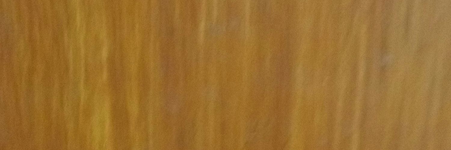 AlexZaranitor's profile banner image