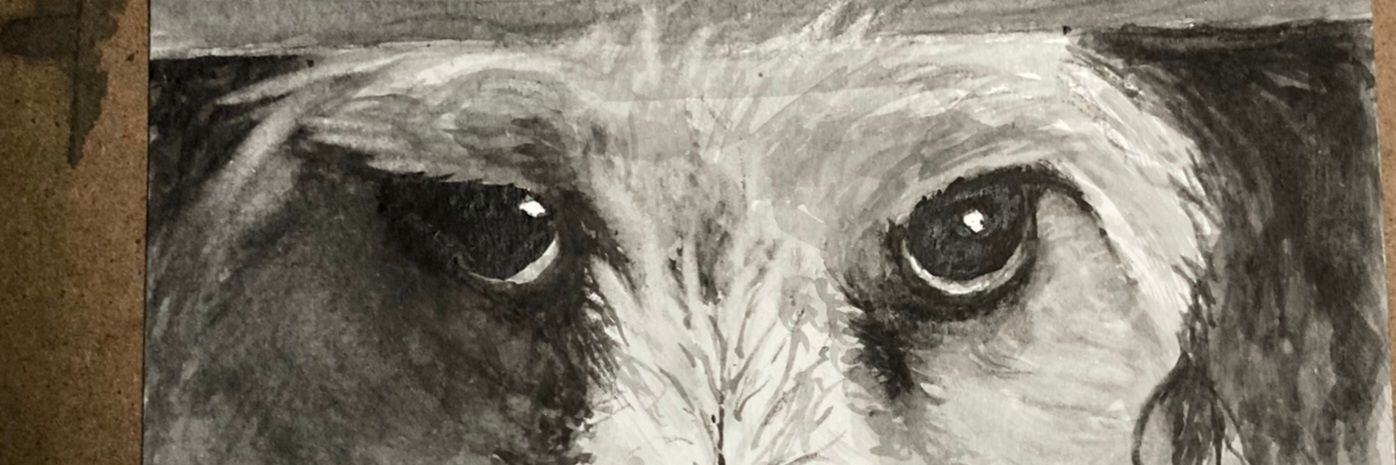 Pilky4's profile banner image