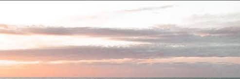 garipveda's profile banner image