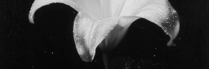 SSONGCOS's profile banner image