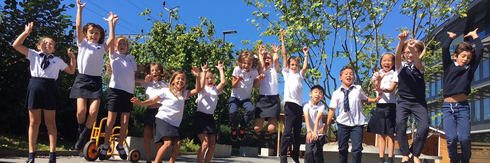 gwasgrade3's profile banner image