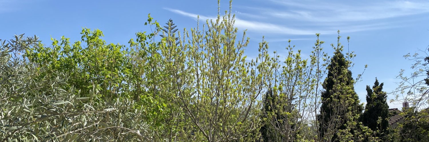 igpuica's profile banner image