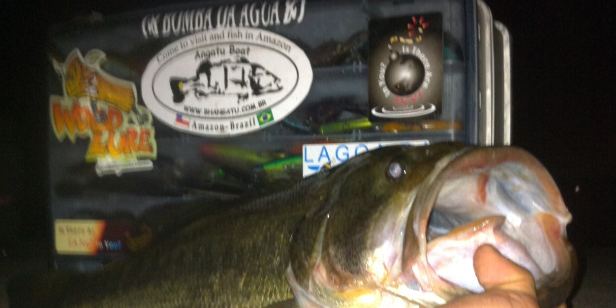 コータリー banner