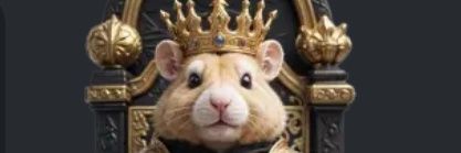 sha_gho's profile banner image