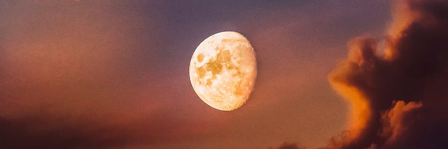 Pheebs 🌙 banner
