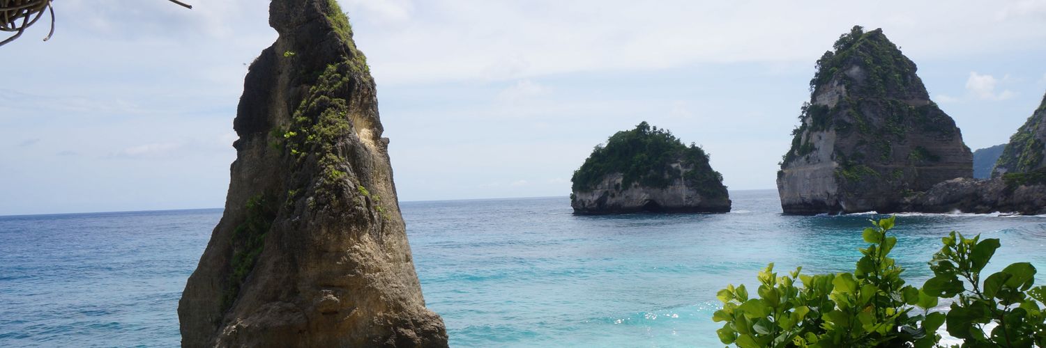 PeterDavidWu's profile banner image