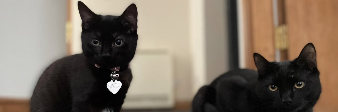 Laura Cox 🌈 banner