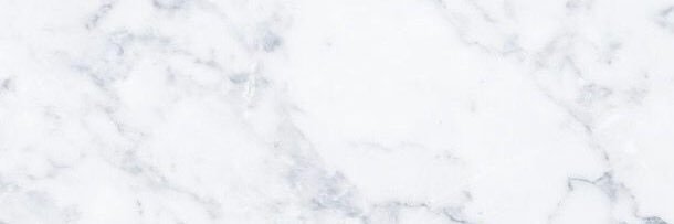 suggcrew's profile banner image