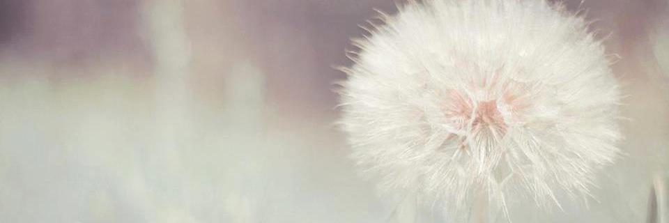 LthienNmeness's profile banner image