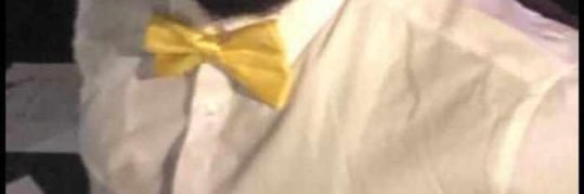 still_champ's profile banner image