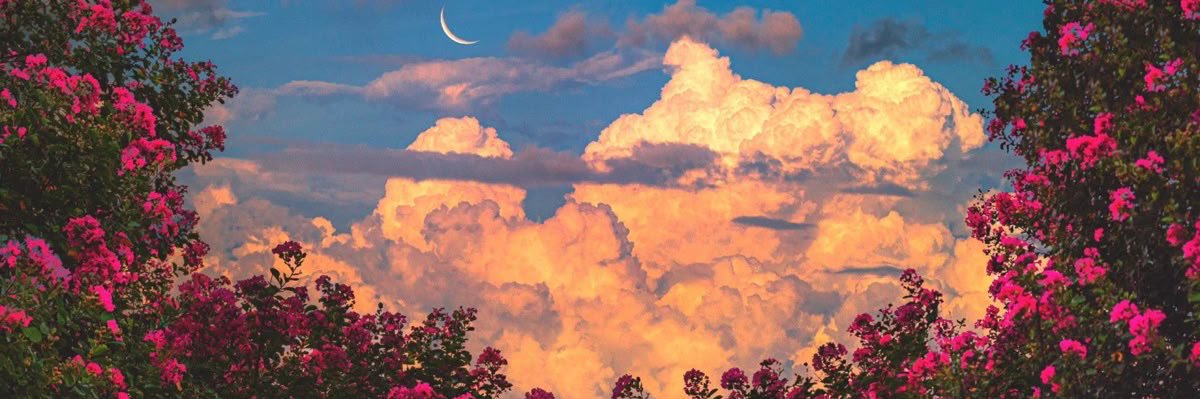 stylesinterlude's profile banner image