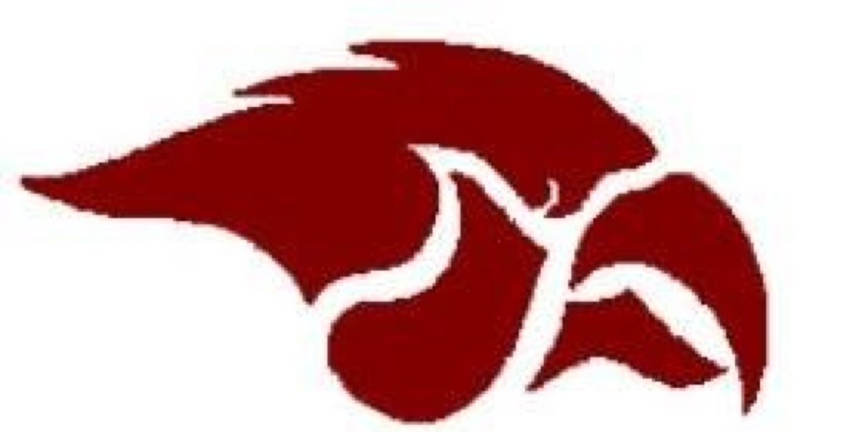 CSHSAthletics's profile banner image