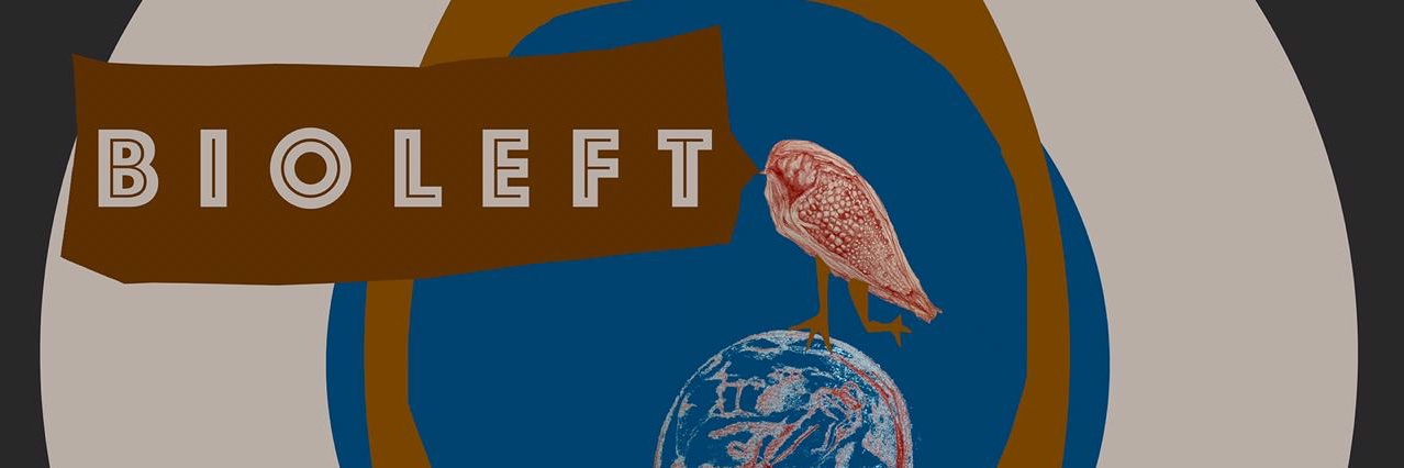 Almendra Cremaschi banner