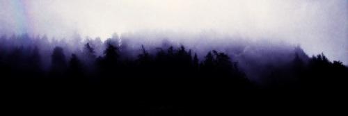 PsychopathicLiz's profile banner image