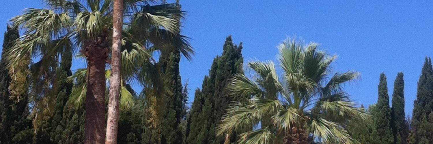 HelenMccoll's profile banner image