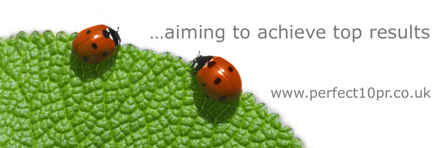 Perfect10PR banner