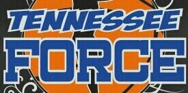 TnForce banner
