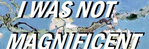 Cerian Wilshere banner