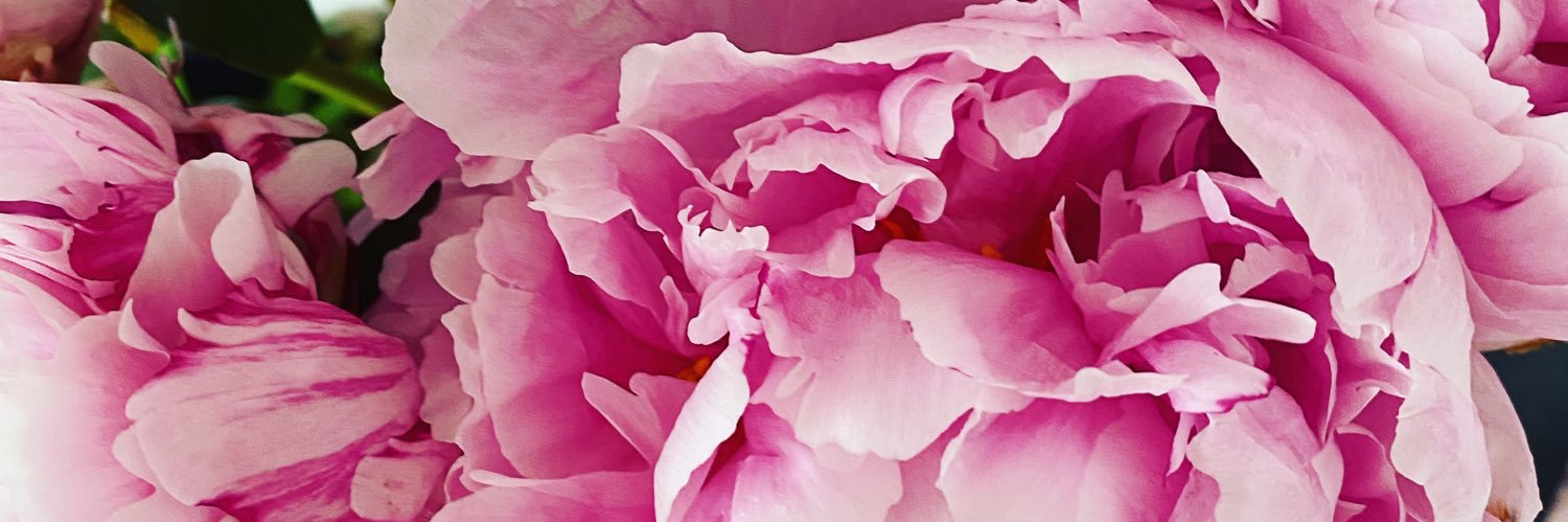 lucyjdeane's profile banner image