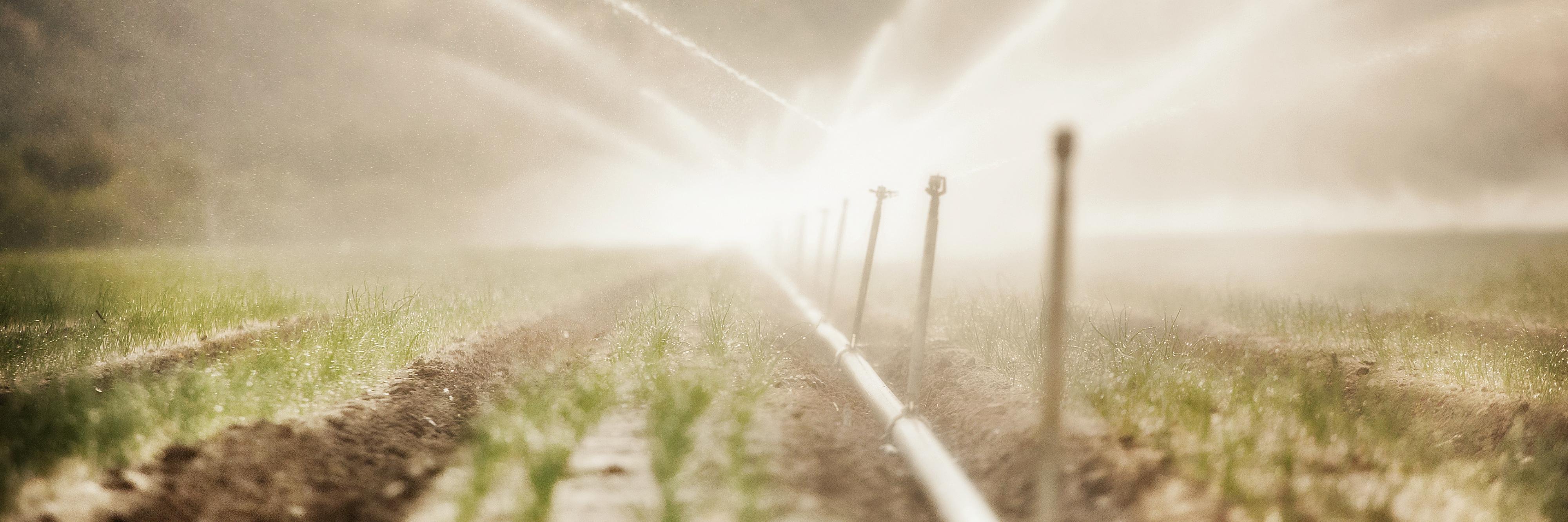 The Nexus Network banner