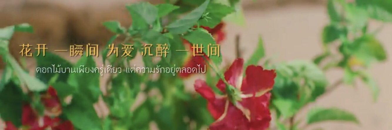 ppkhaa's profile banner image
