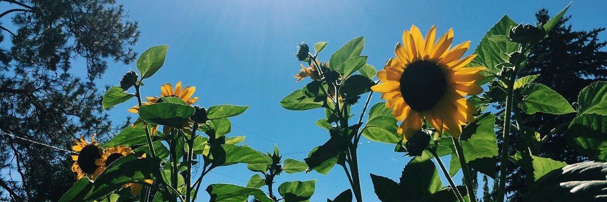 __luperalta's profile banner image