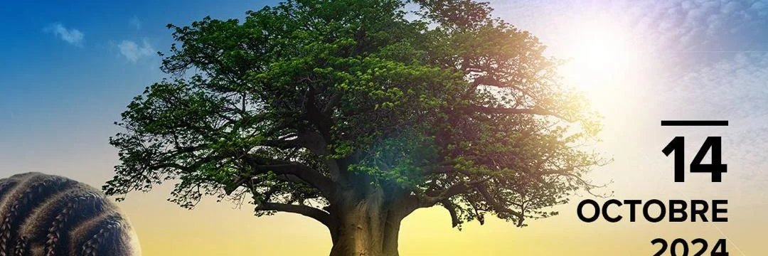 cheiksoum's profile banner image