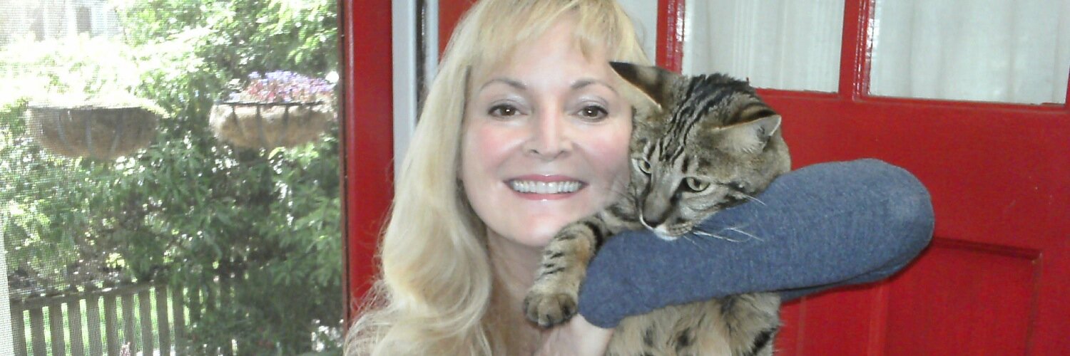 marykdevault's profile banner image