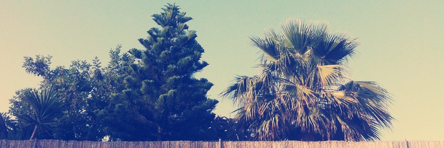 KikoRC11's profile banner image