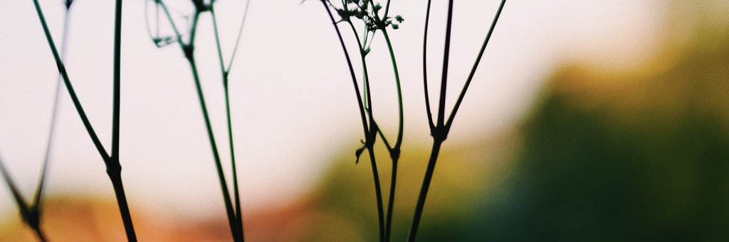 ItzJul's profile banner image