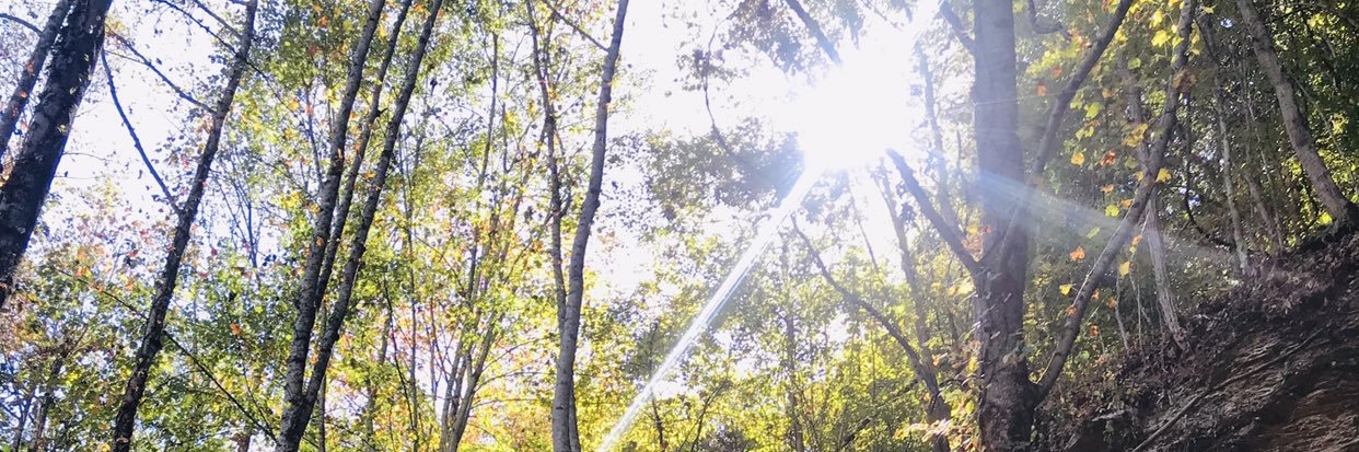 rn_toby1fan's profile banner image