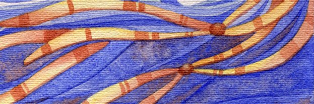 Karen Miga's banner