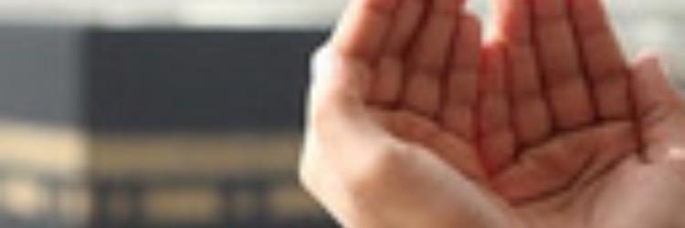 dodeee19's profile banner image