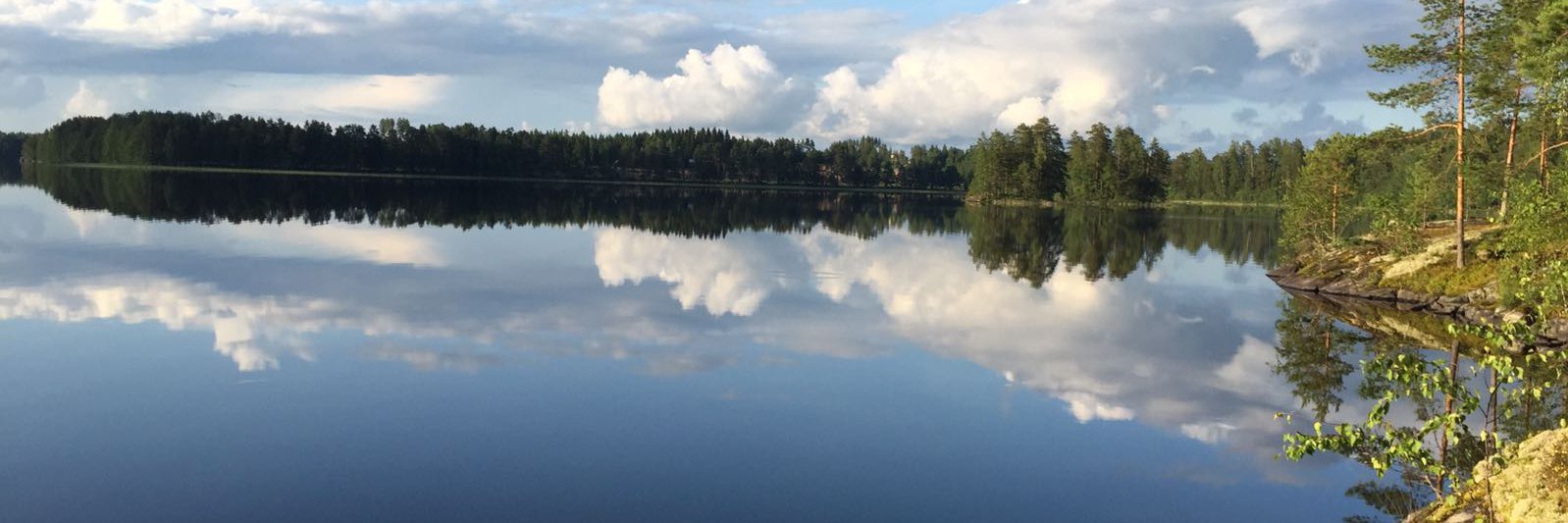 JNikuP's profile banner image