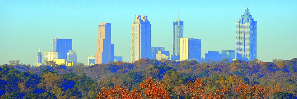 Walter Orenstein banner