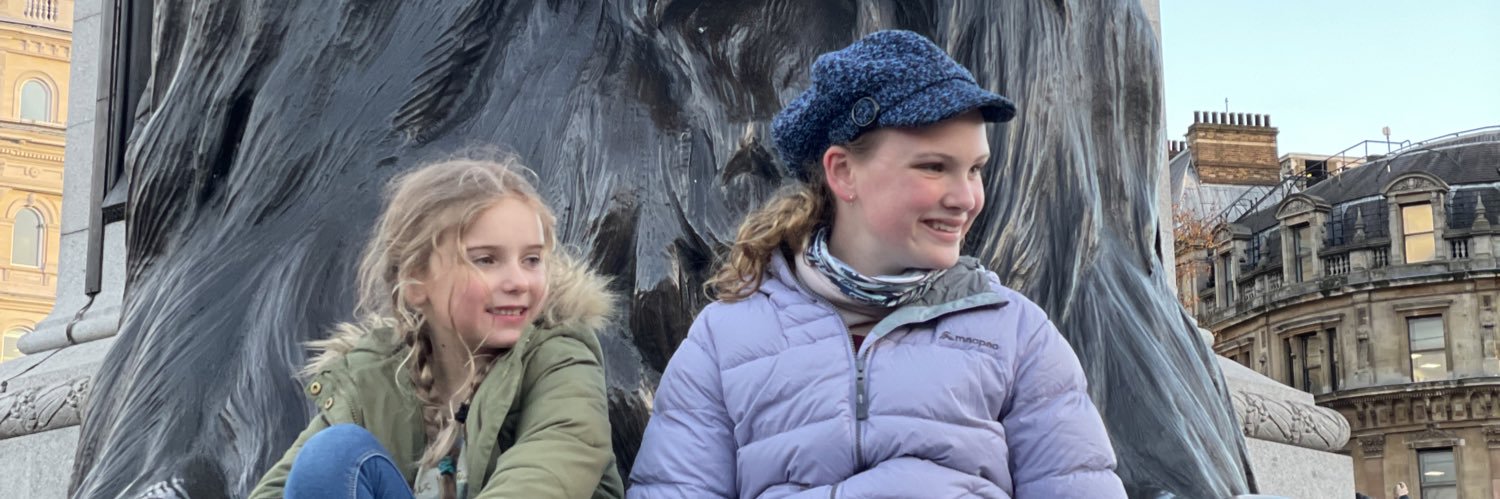 Steve Wellman banner