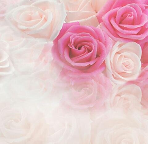 MRSESMERALDAA's profile banner image