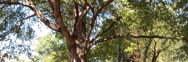 paigep_hamer Profile Banner