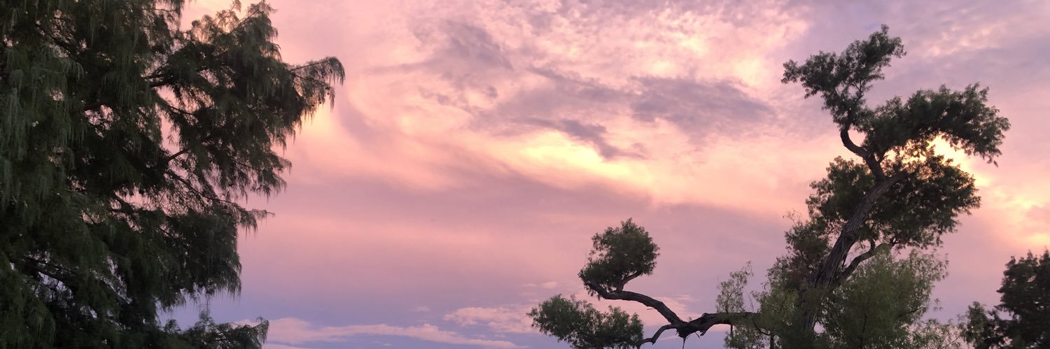OsaskiaB's profile banner image