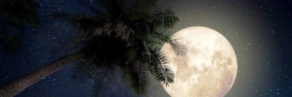 ElsaidaAbdoo's profile banner image