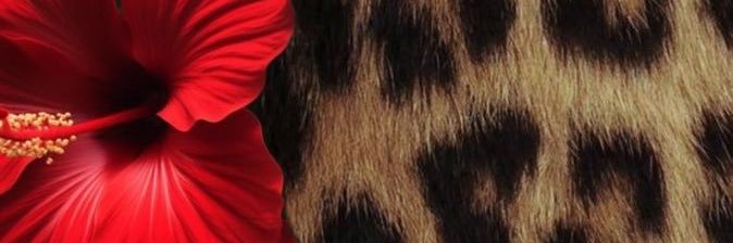 v_clements7's profile banner image